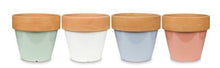 Glazed Flower Pot