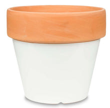 Glazed Flower Pot