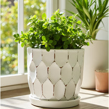 Distressed Honeycomb Pot with Attached Saucer