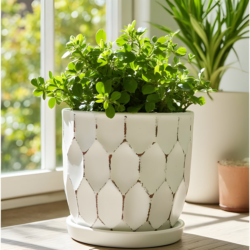 Distressed Honeycomb Pot with Attached Saucer