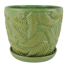 Beach Fern Planter with Attached Saucer