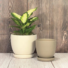 Egg Pot with Attached Saucer