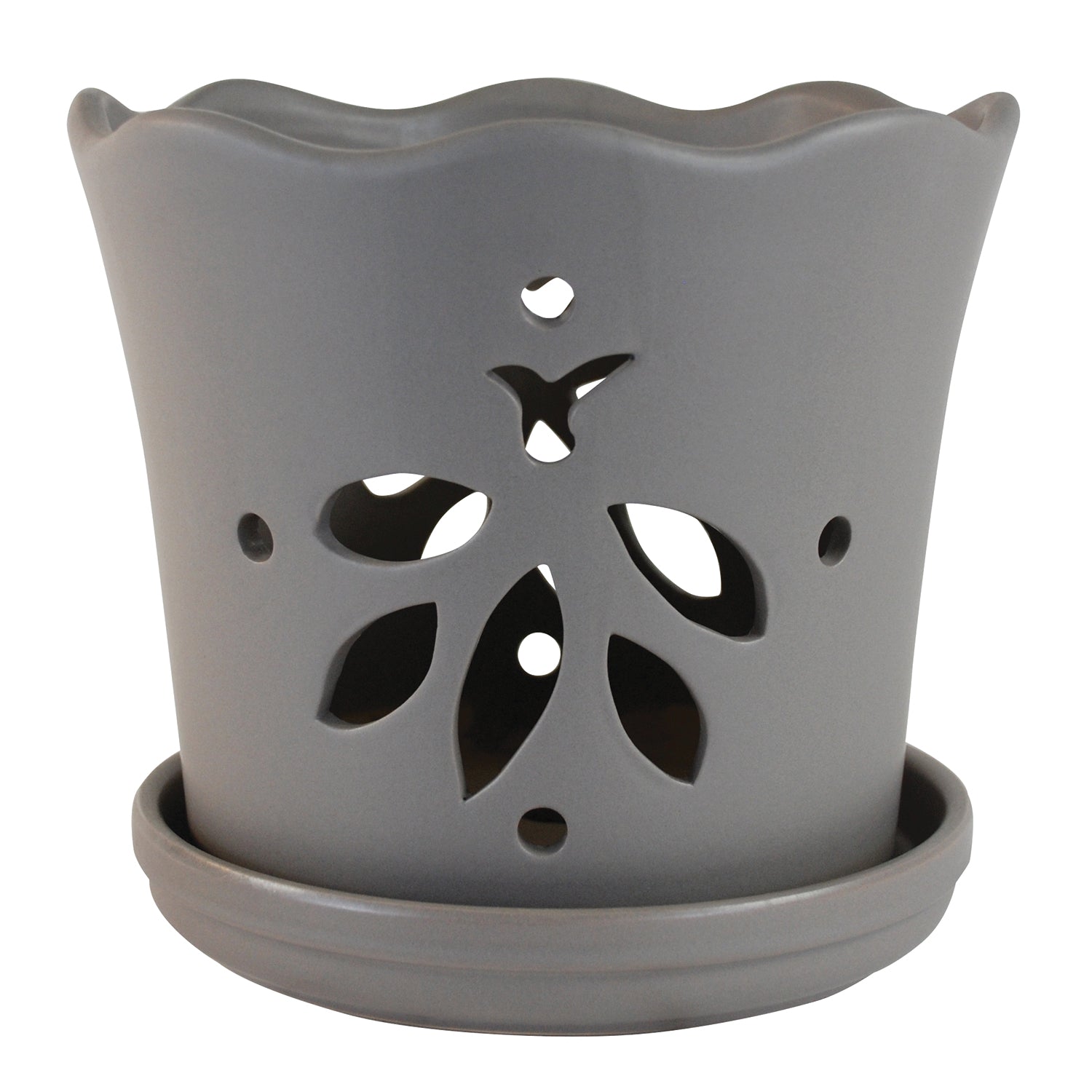 Butterfly Orchid Pot with Attached Saucer