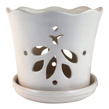 Butterfly Orchid Pot with Attached Saucer