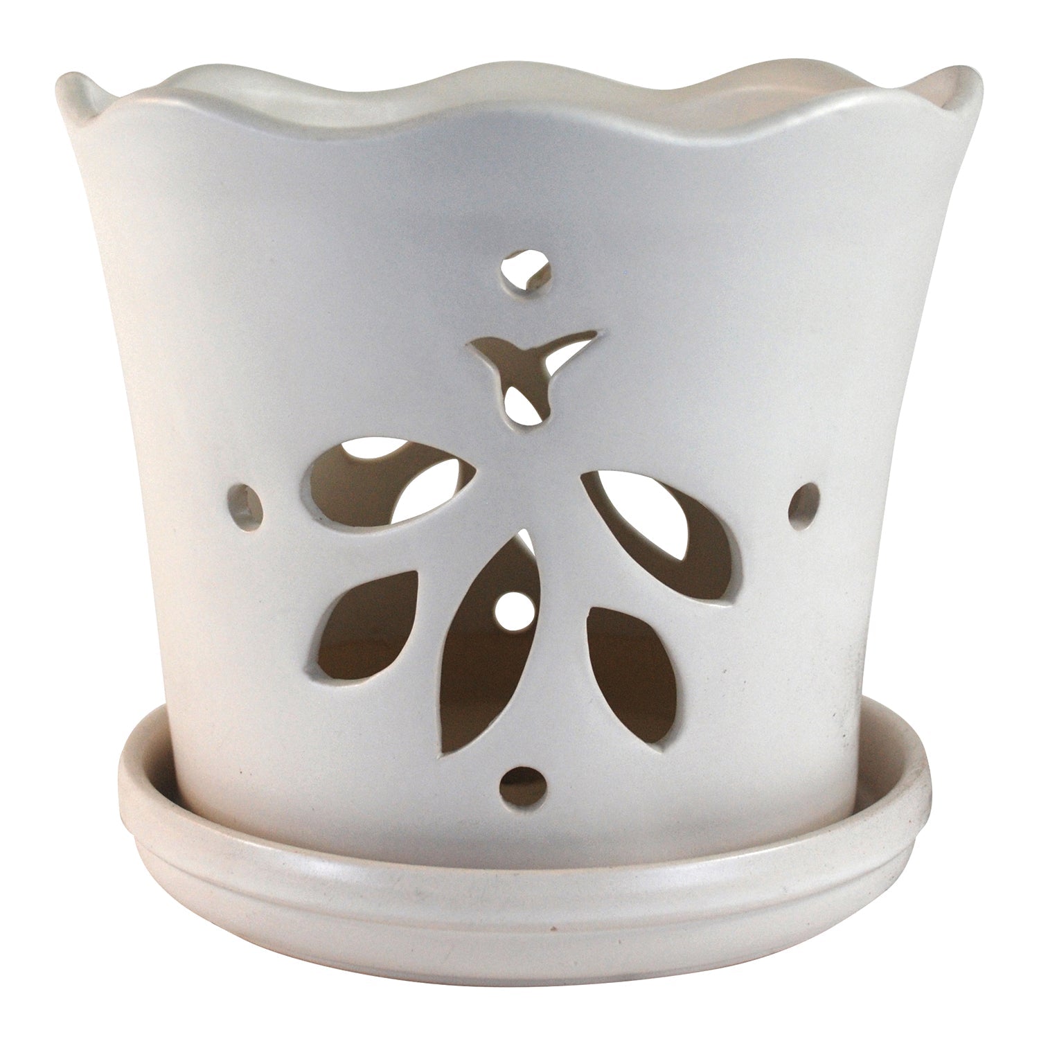 Butterfly Orchid Pot with Attached Saucer