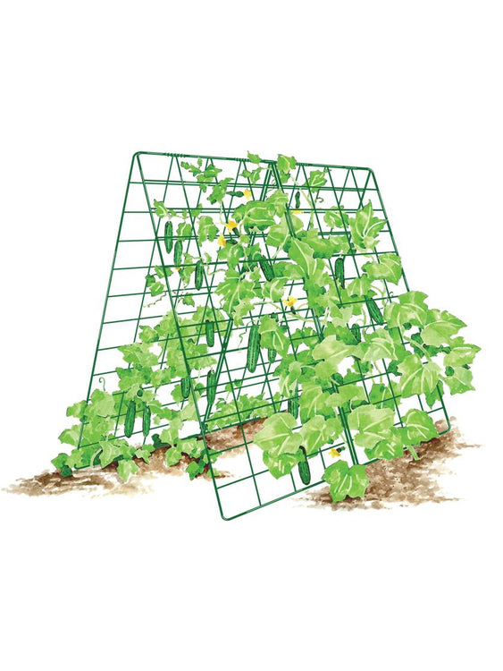 Deluxe Cucumber Trellis GREEN