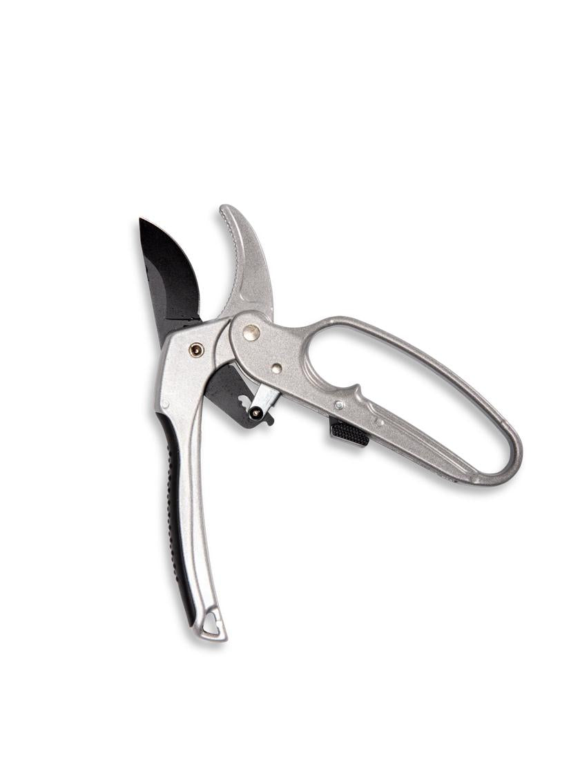 Ratchet Pruner