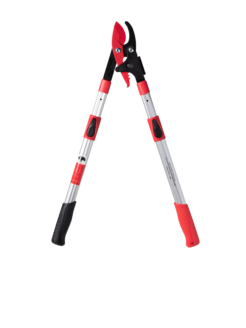Telescoping Bypass Loppers