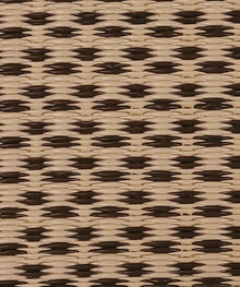 Basic Cream & Brown