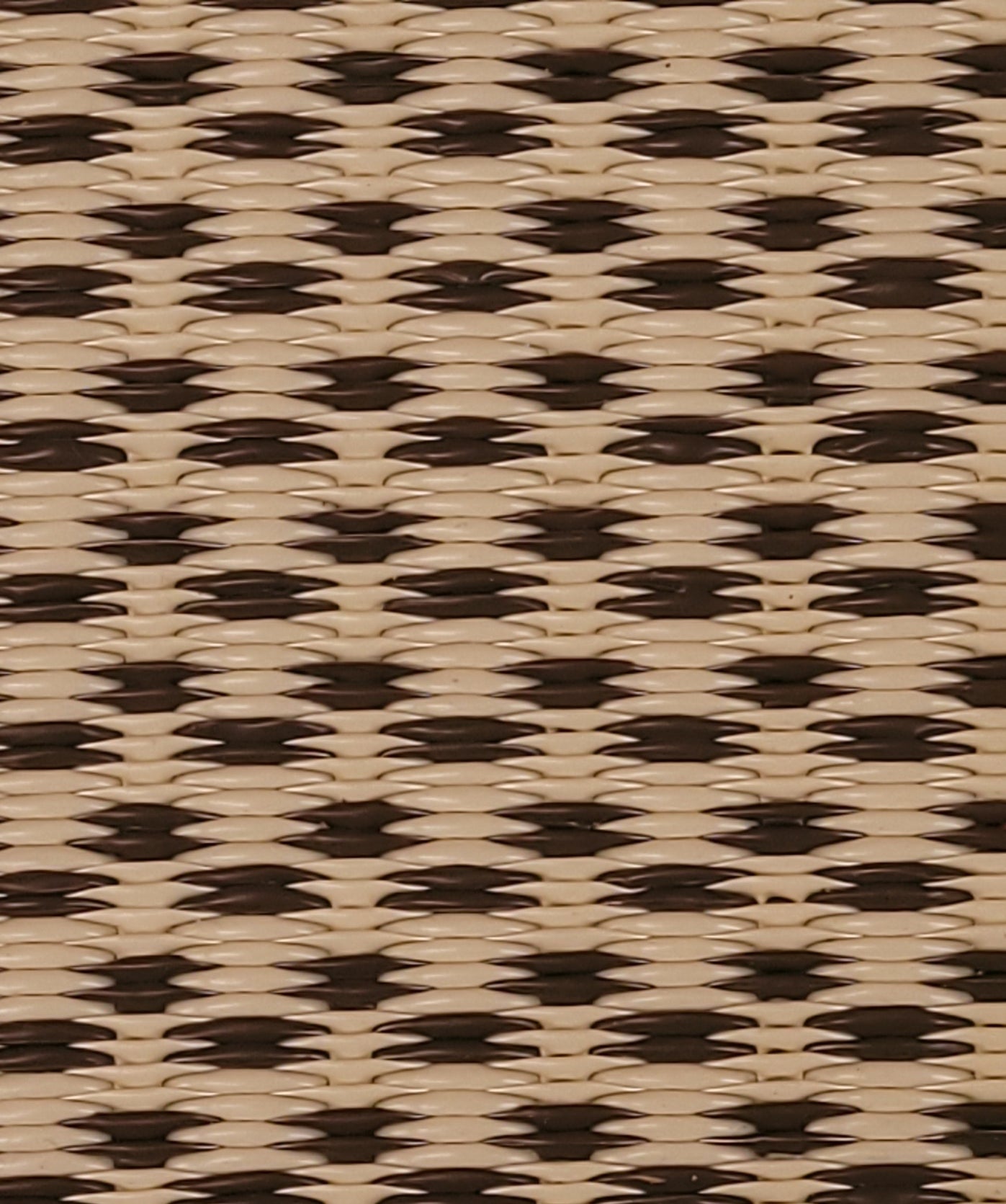 Basic Cream & Brown