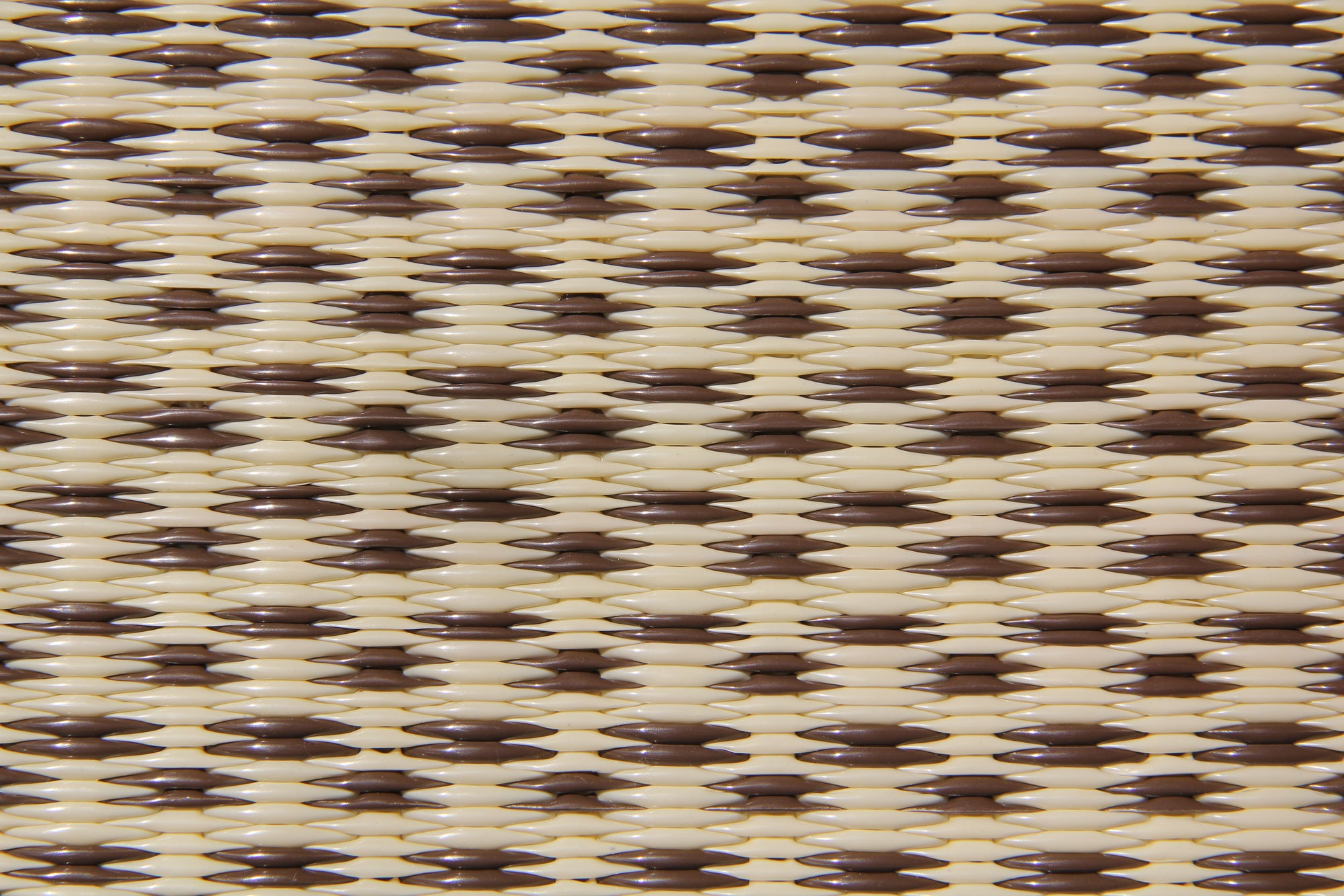 Basic Cream & Brown