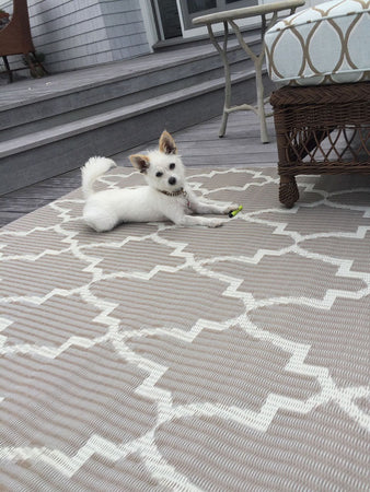 Casa Blanca Sand & White