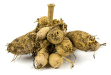 Dahlia - Sunshine: 3 divisions (multiple tubers per division)