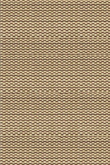 Basic Cream & Brown