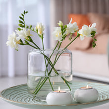 Freesia - Single White