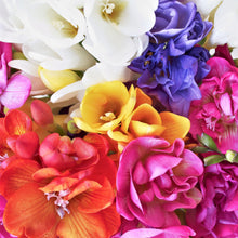 Freesia - Doubles Mix
