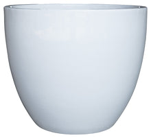 Campine Egg Pot Planter