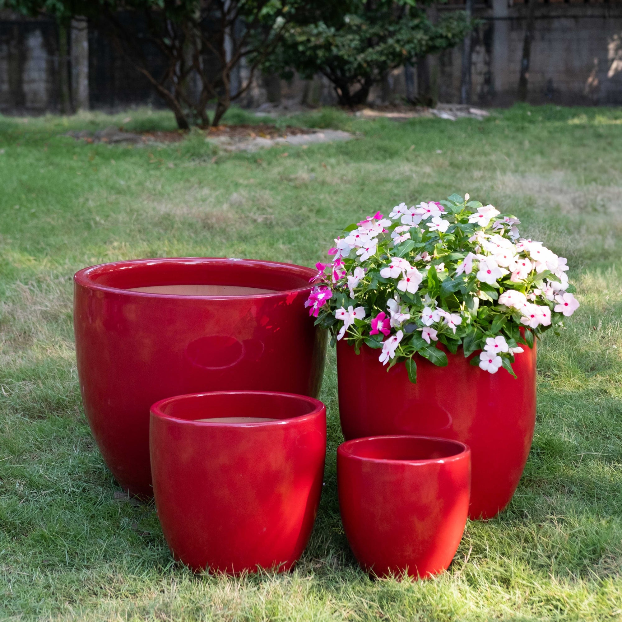 Campine Egg Pot Planter