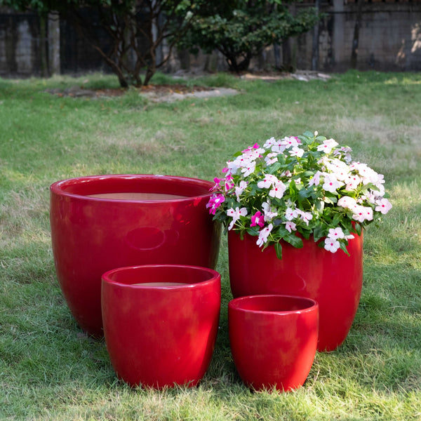 Campine Egg Pot Planter