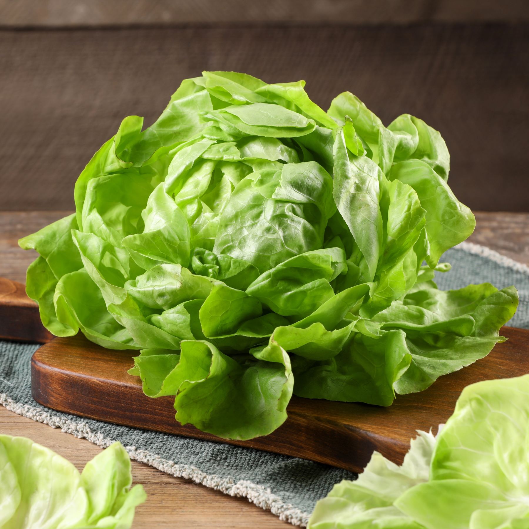 Lettuce Butterhead Seed