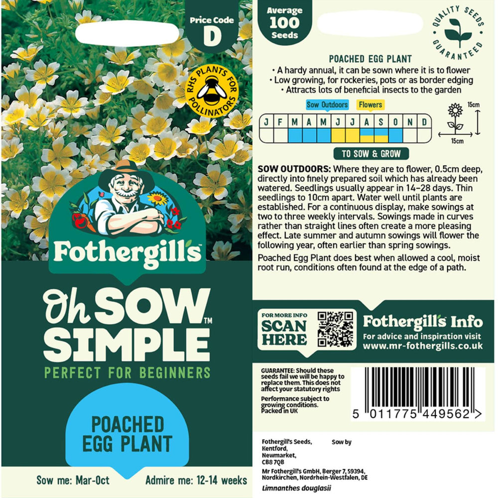Poached Egg Plant Seed