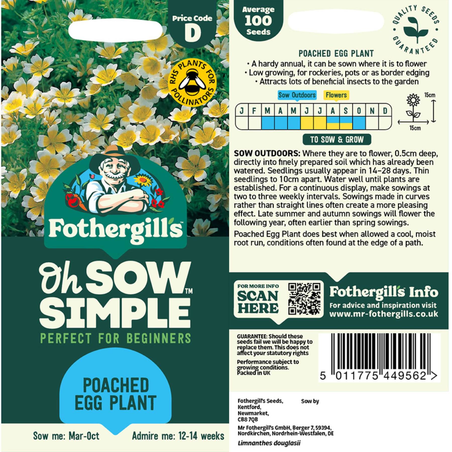Poached Egg Plant Seed