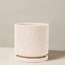 Isabella Planter
