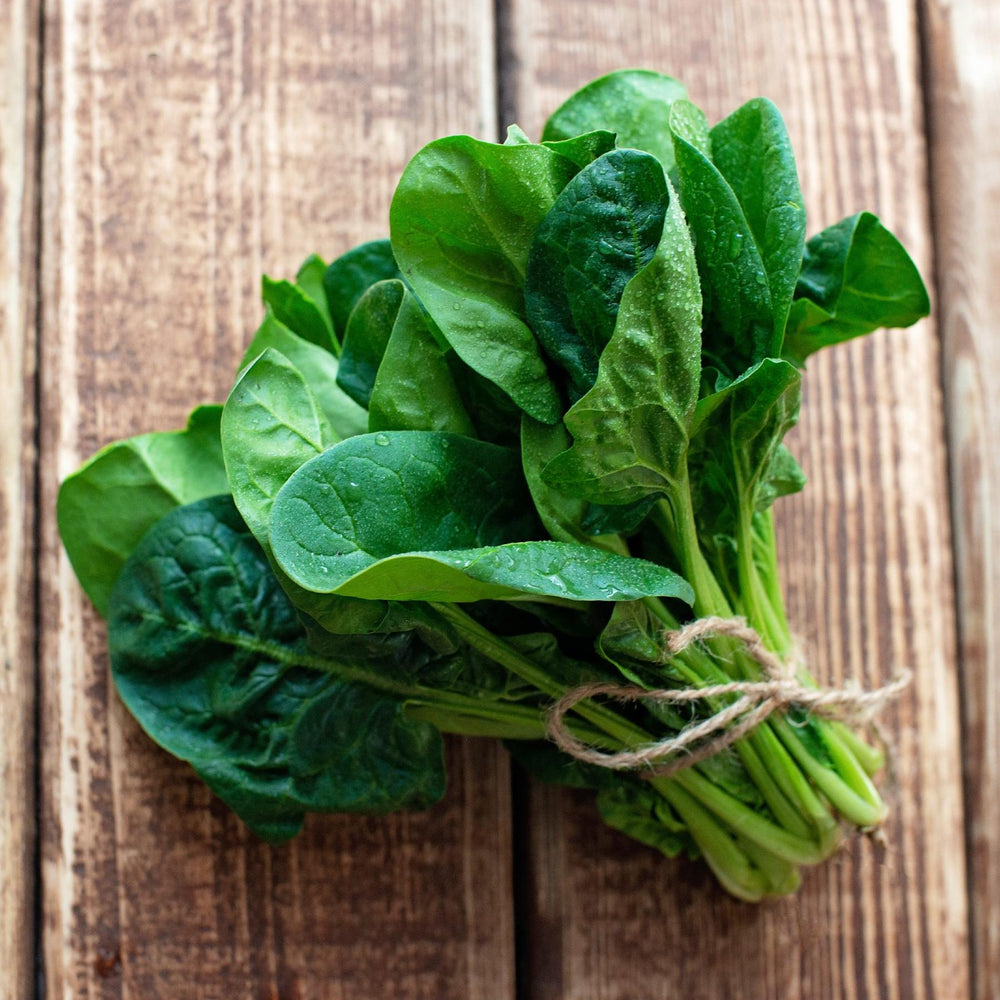 Spinach Seed