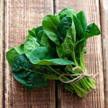 Spinach Seed