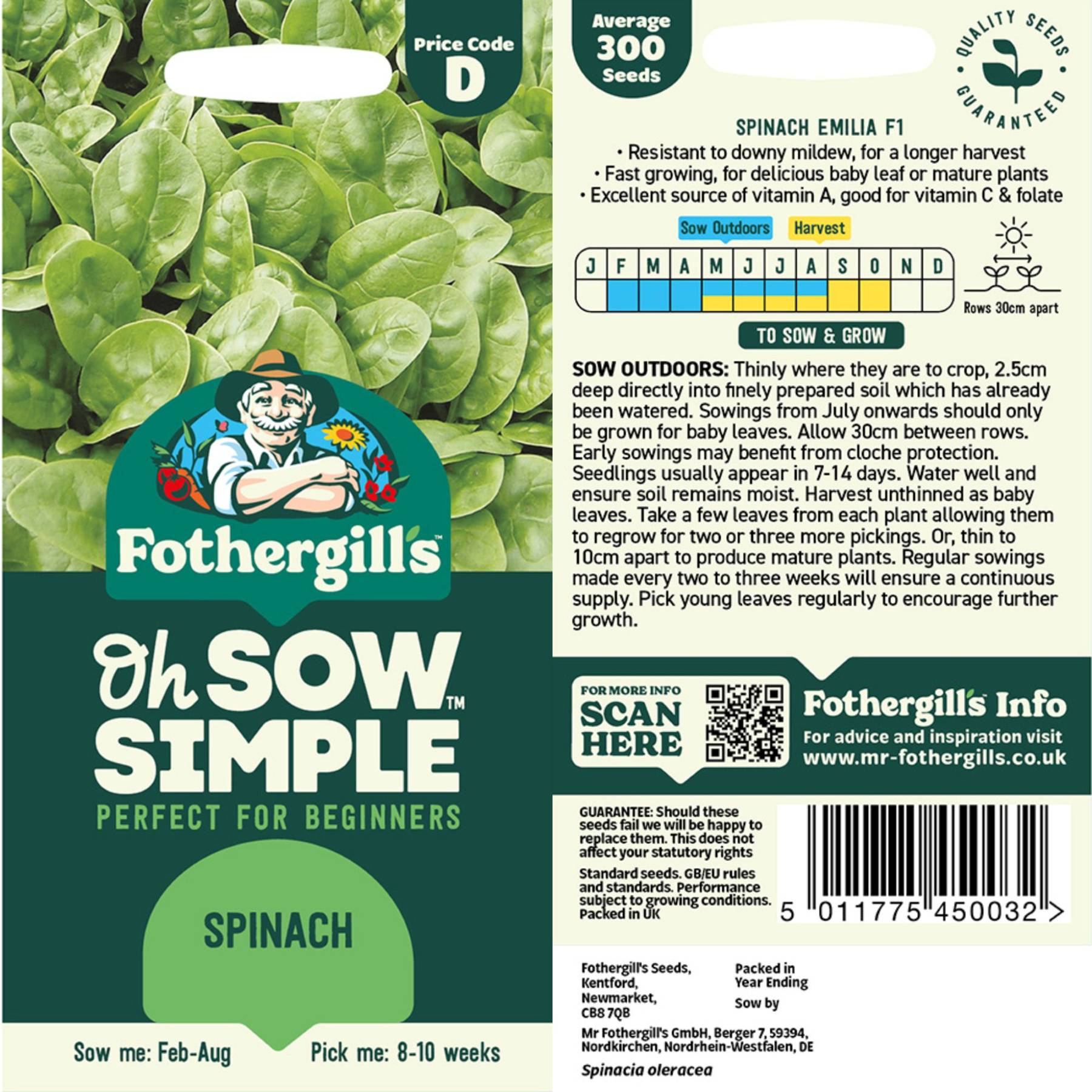 Spinach Seed