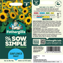 Sunflower Dwarf Seed