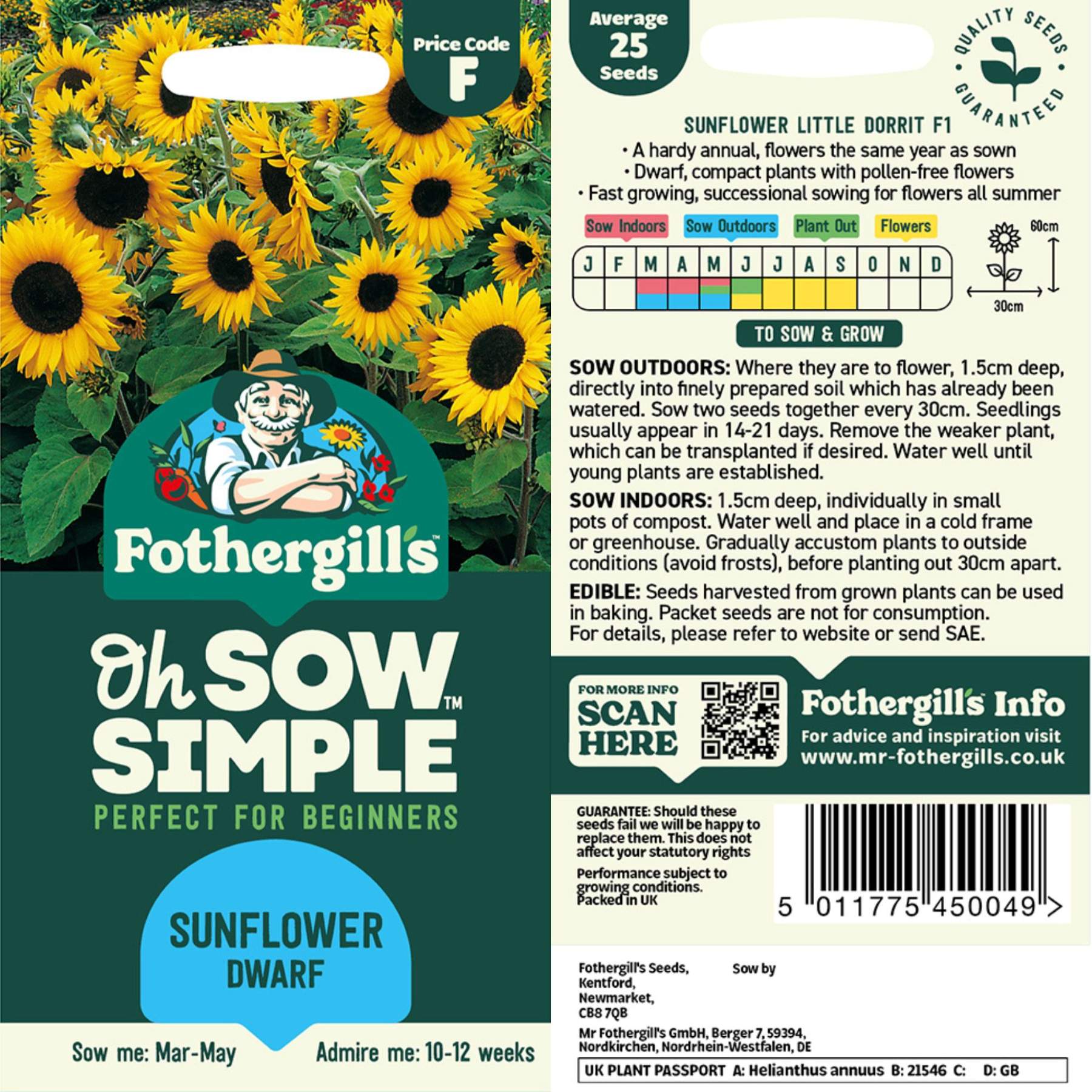 Sunflower Dwarf Seed