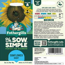 Sunflower Giant Seed