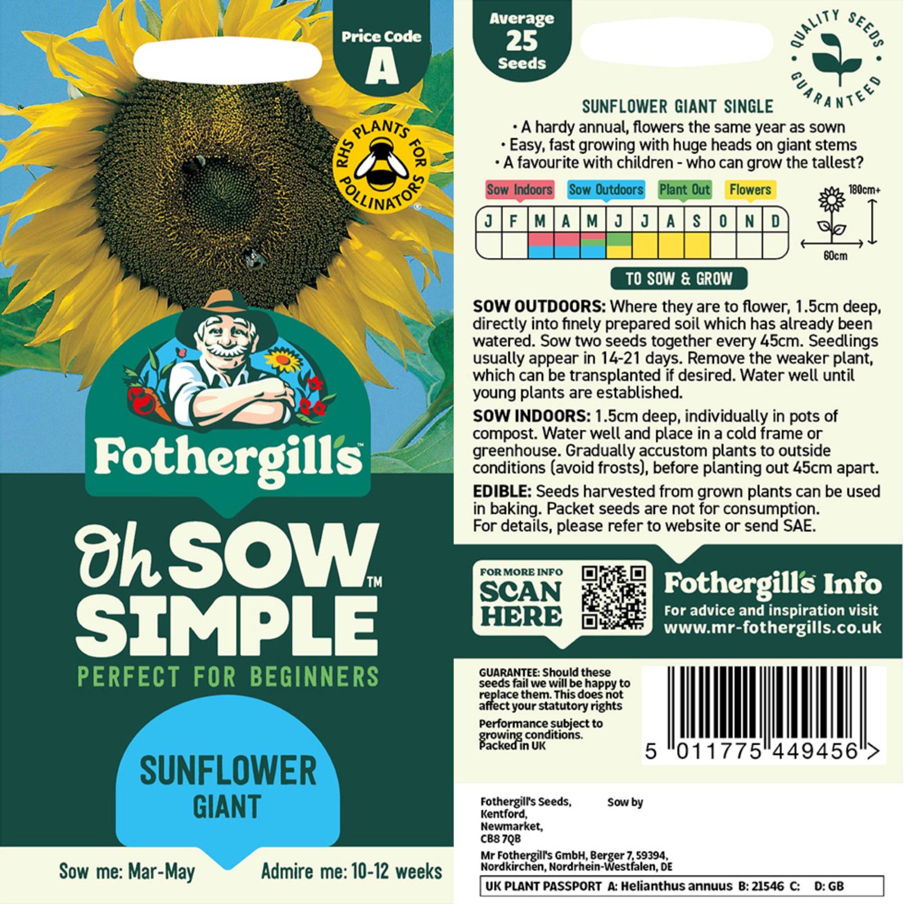 Sunflower Giant Seed