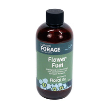 Forage Spring Set