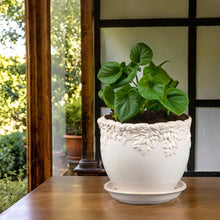 Ivy League Jardiniere with Attached Saucer