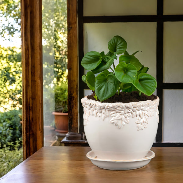 Ivy League Jardiniere with Attached Saucer