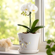 Butterfly Orchid Pot with Attached Saucer