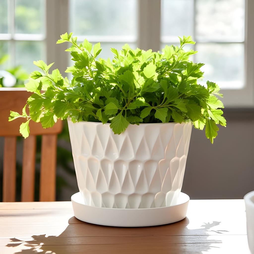 Frequency Pot Ceramic Planter With Attached Saucer