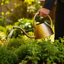 Brass Watering Can