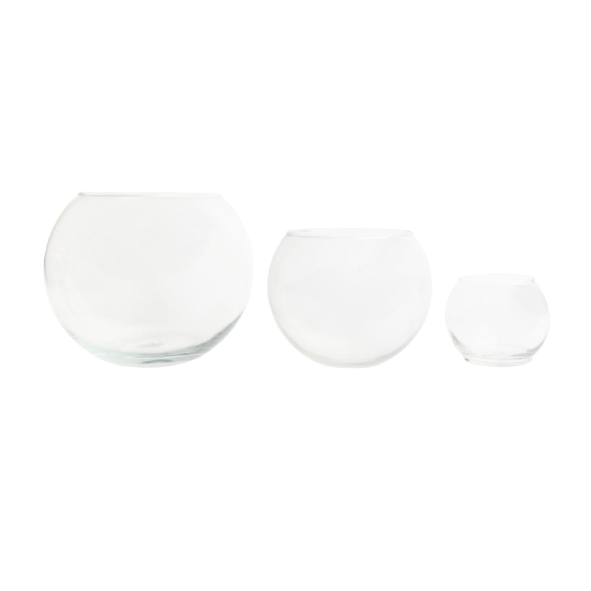 Forage Spring Set