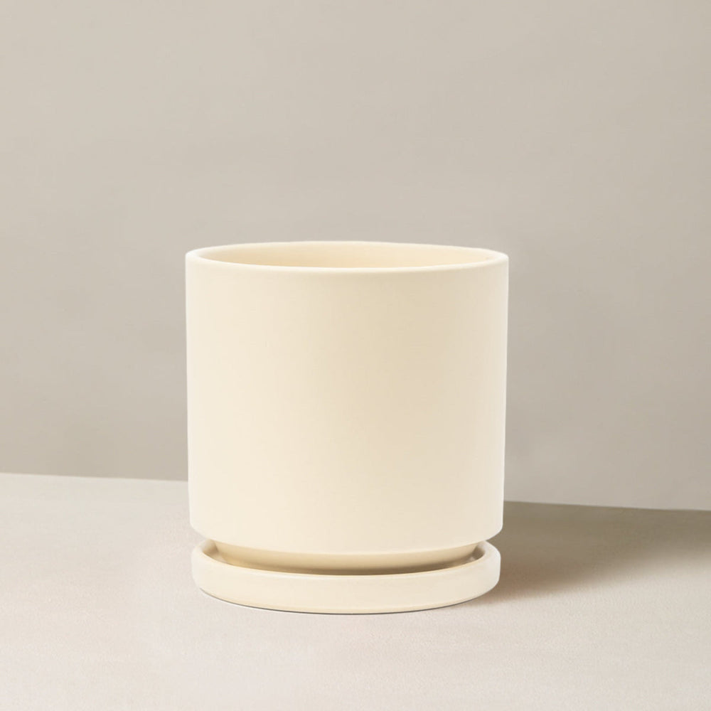Isabella Planter