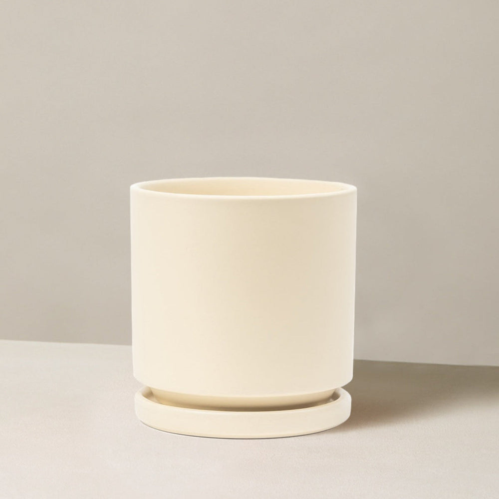 Isabella Planter