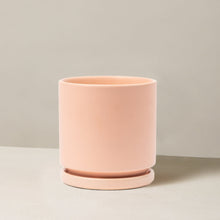 Isabella Planter