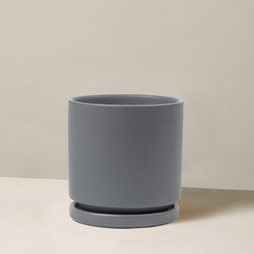 Isabella Planter