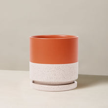 Isabella Planter