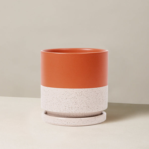 Isabella Planter