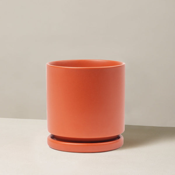 Isabella Planter