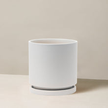 Isabella Planter