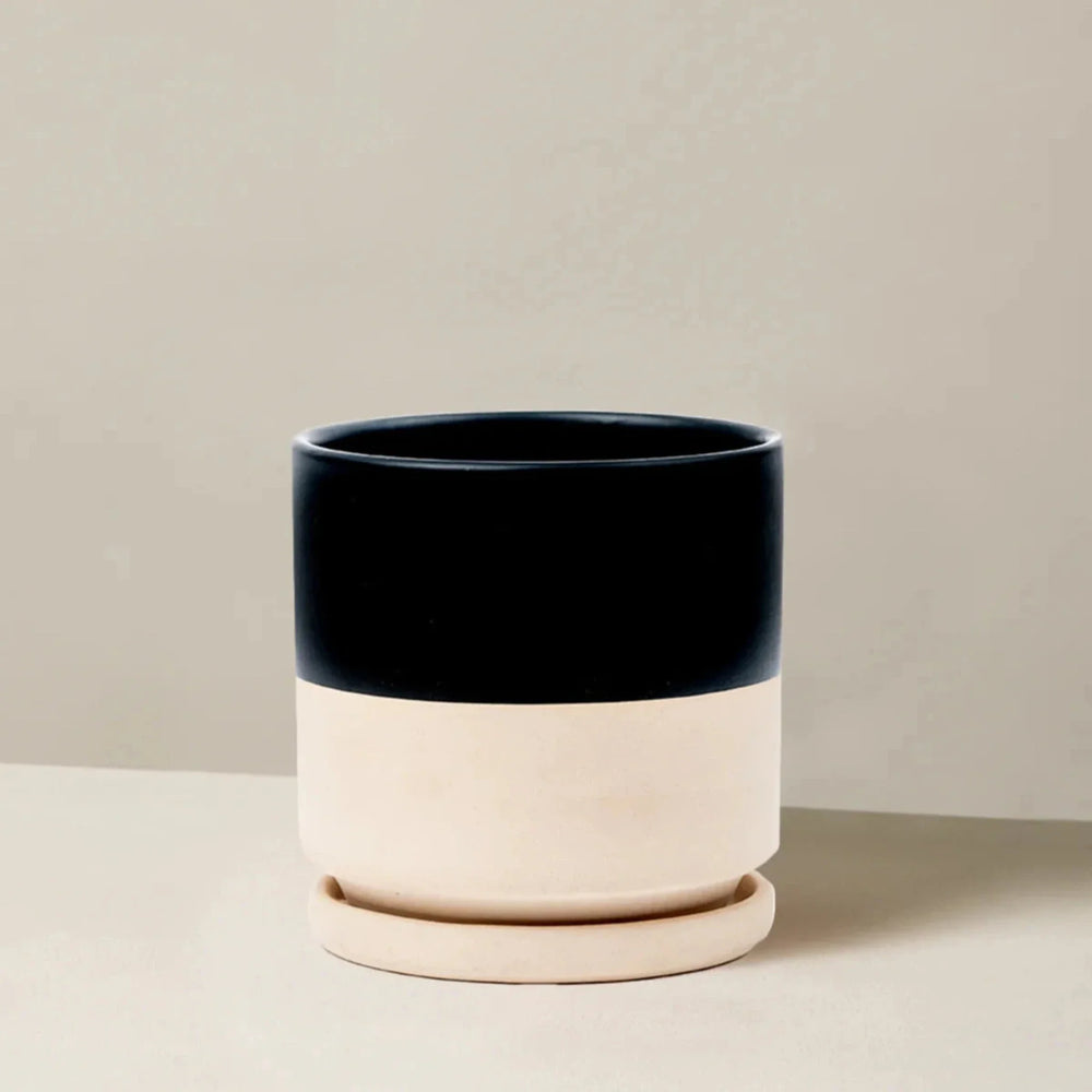 Isabella Planter